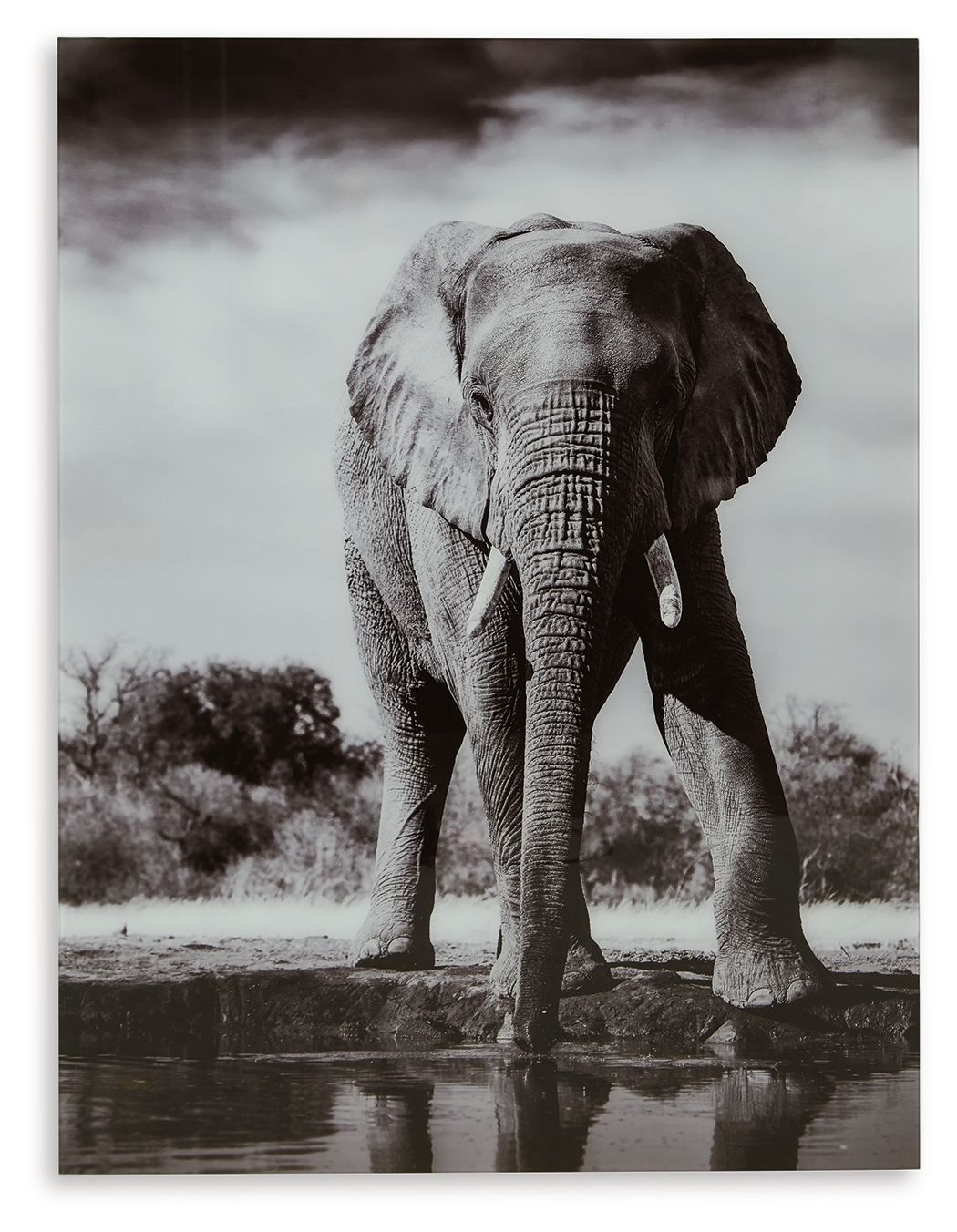 Glinyard Black / White Wall Art